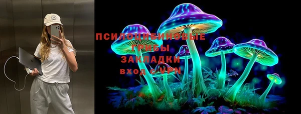 прущие крисы Верхний Тагил
